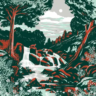 Illustration for Leuchtturm1917’s ‘Find Your Nature’ campaign