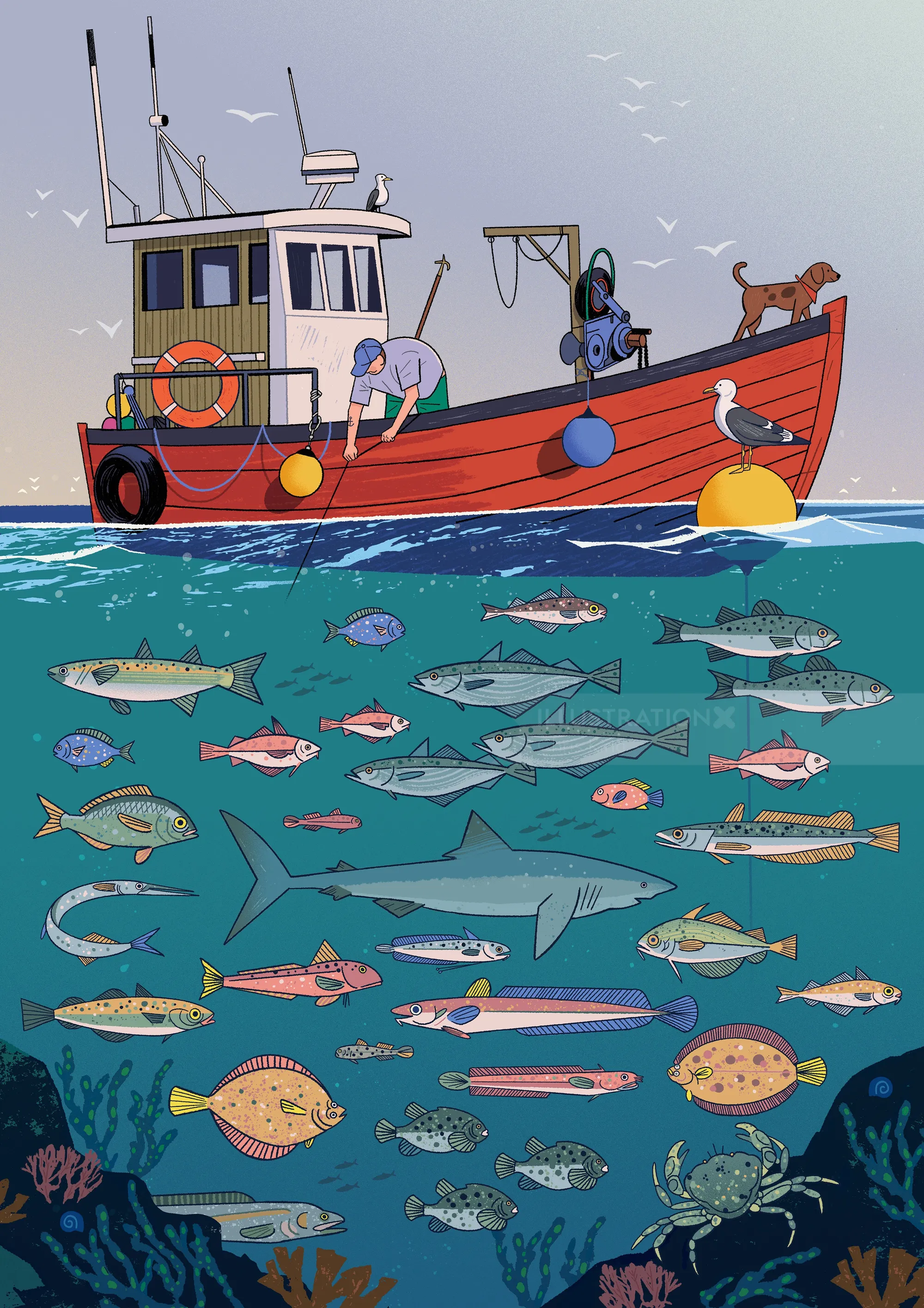Traditional fishing in the North Sea
