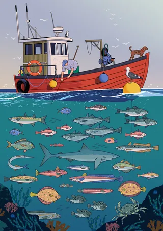 Traditional fishing in the North Sea