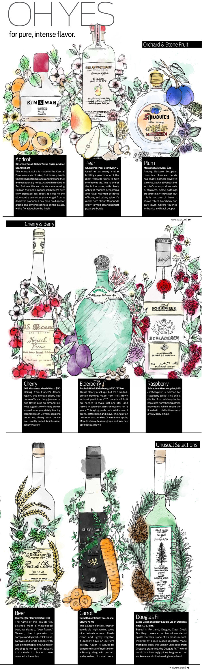 Poster cover of wine bottles