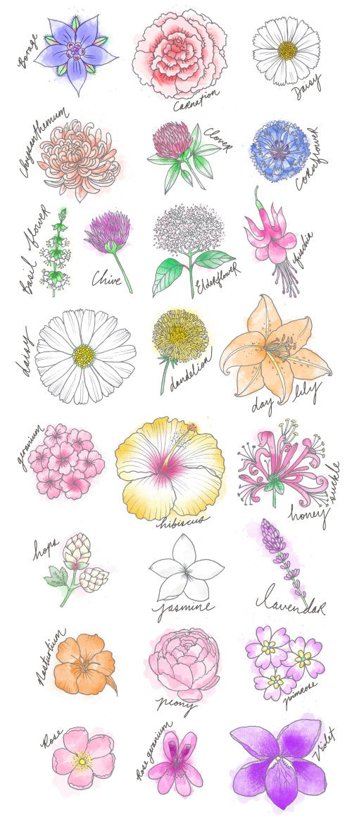 Illustration vectorielle de fleurs