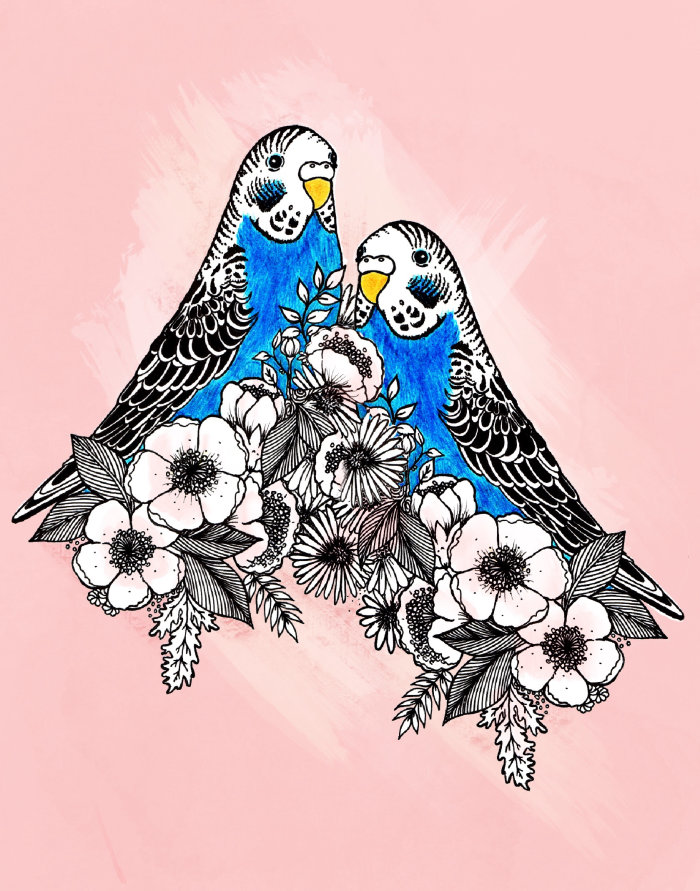 Budgie birds flowers nature