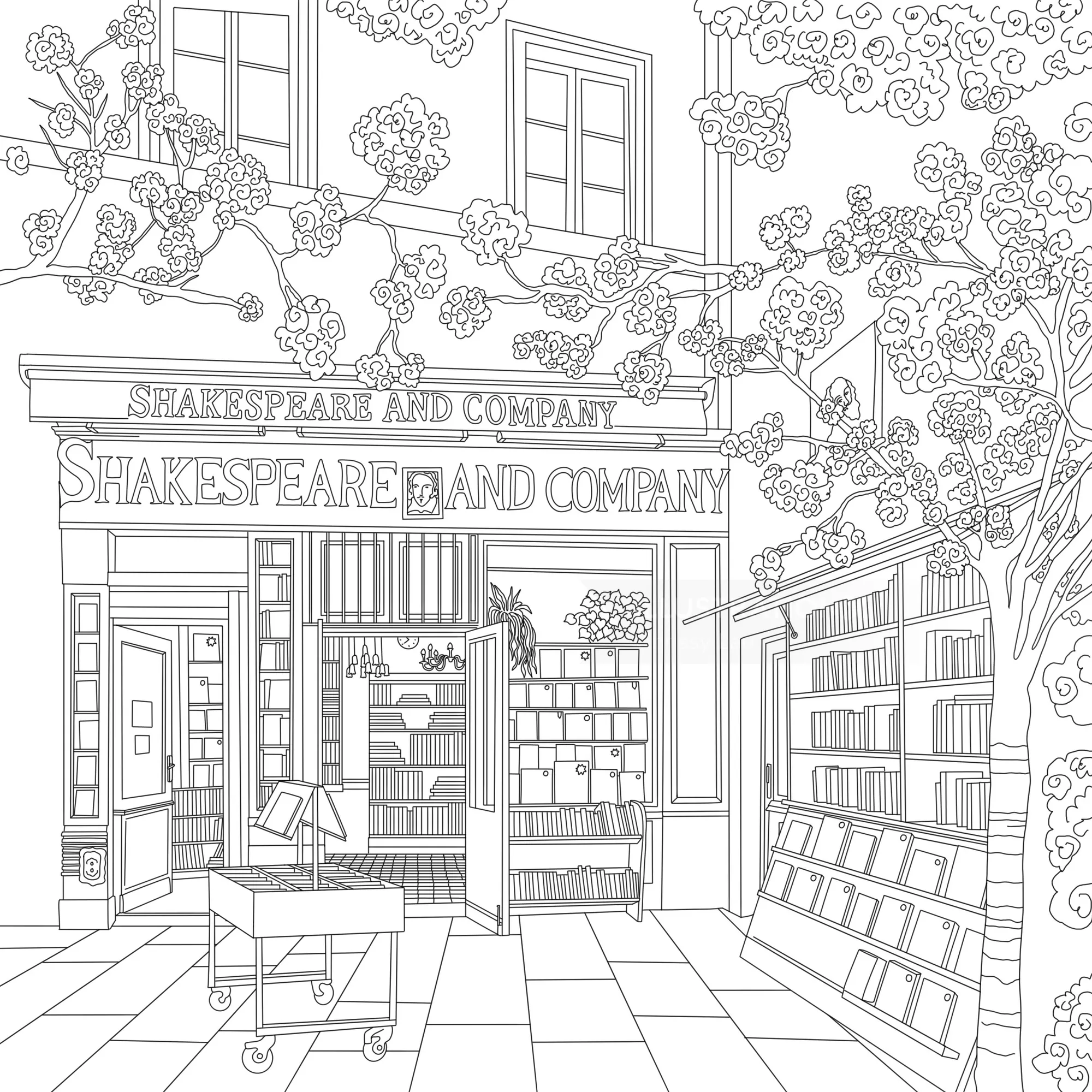 Chrissy Lau シェイクスピア・アンド・カンパニー書店のファサードの線画