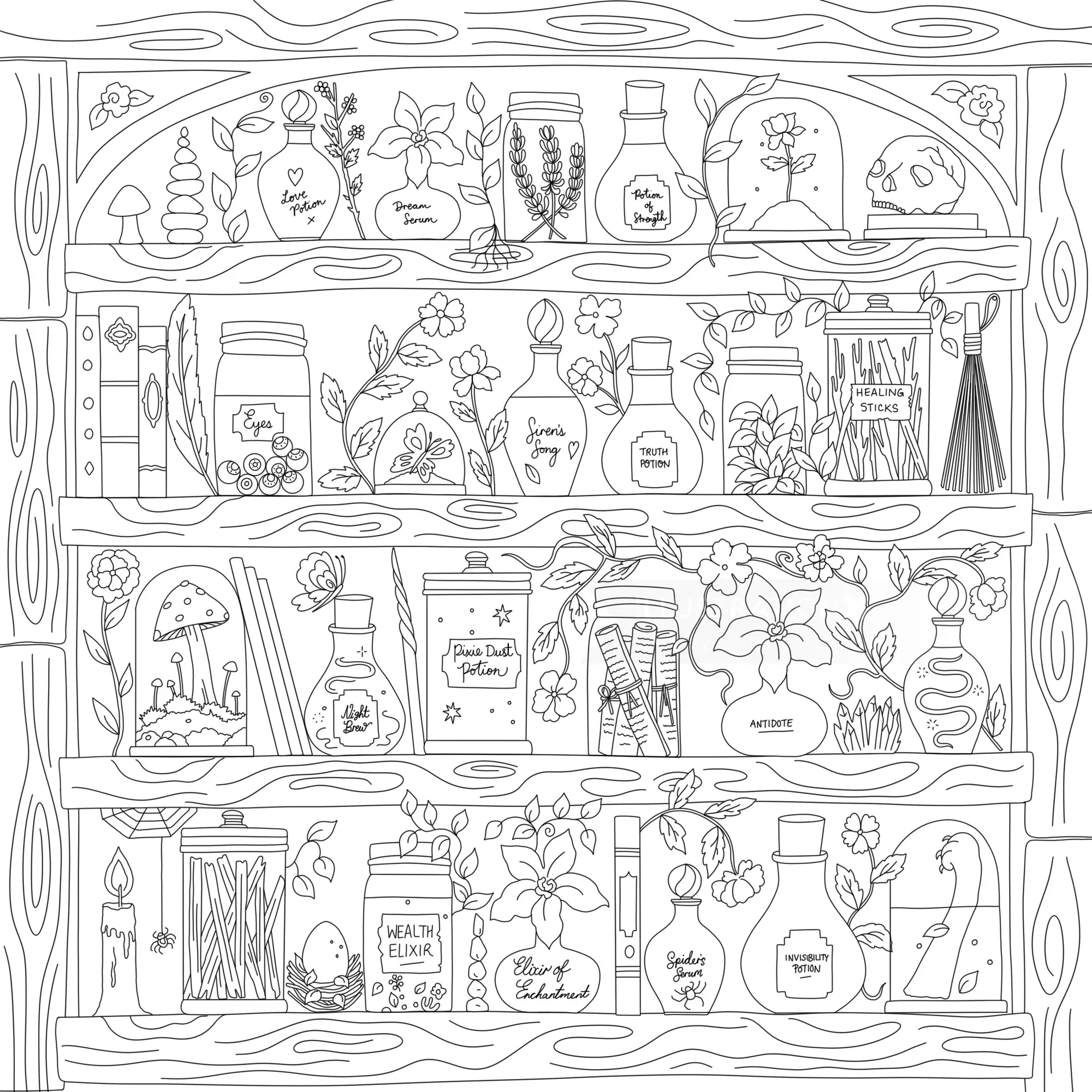 Schwarz-weiße Illustration eines Apothekerregals von Chrissy Lau mit Gläsern, Pflanzen, Büchern und Blumen.