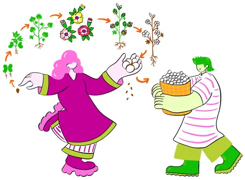 插图由Chrissy Lau绘制，描绘了两位身着艳丽服饰的女子，她们手捧鲜花和糕点篮。