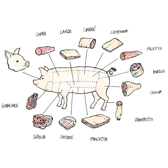 Conceptual art of pig body parts explain 