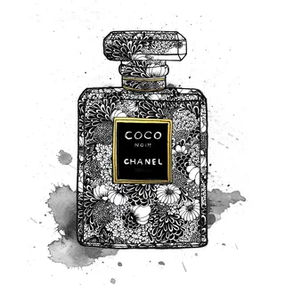 Chanel perfume bottle package illustration