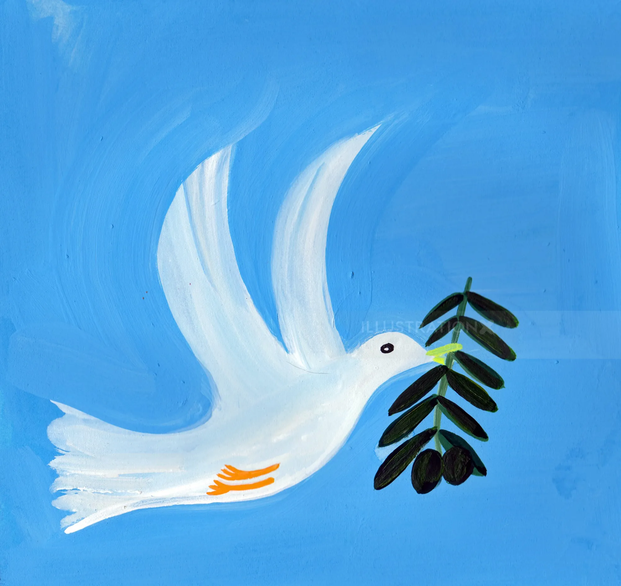 White dove flying with olive branch by Christopher Corr