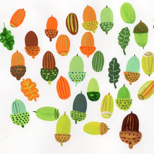 Colorful acorns and oak leaves illustration by Christopher Corr