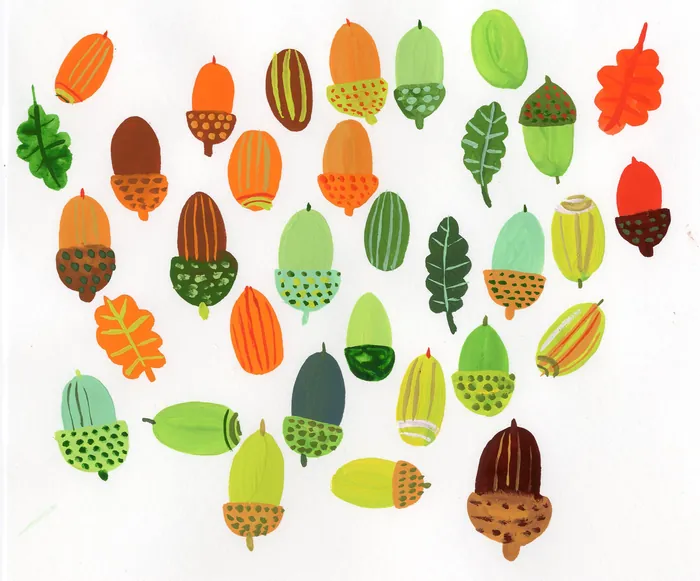 Colorful acorns and oak leaves illustration by Christopher Corr