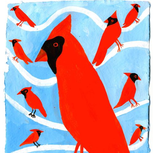 Northern Red Cardinal in the Winter illustration by Christopher Corr