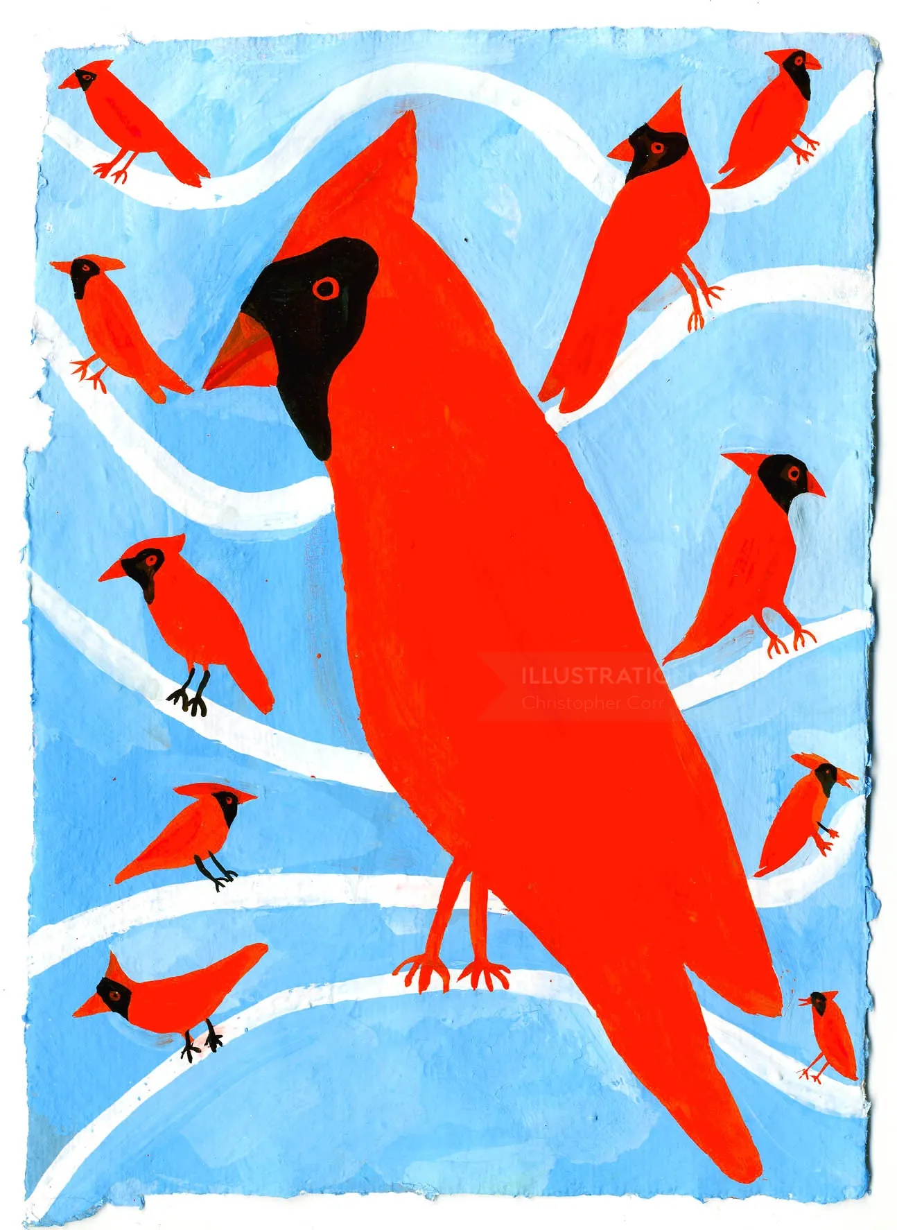 Northern Red Cardinal in the Winter illustration by Christopher Corr