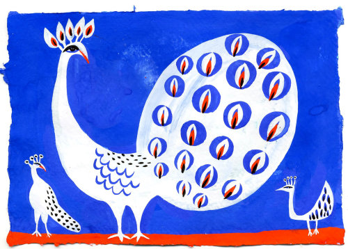 Christopher Corr的白色孔雀插图