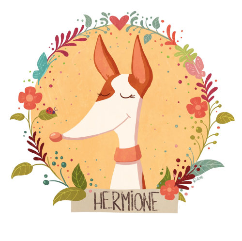 conception des personnages Hermione