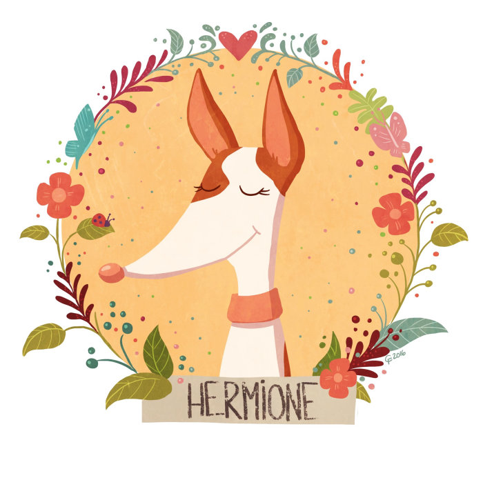 design de personagem Hermione