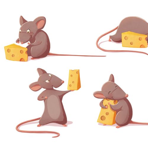 Character design mouse with cheese
