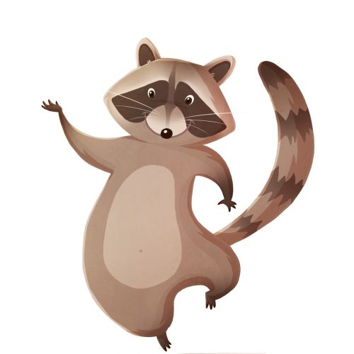 Raccoons animal character design 