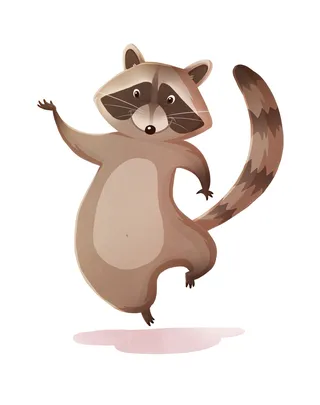 Raccoons animal character design 