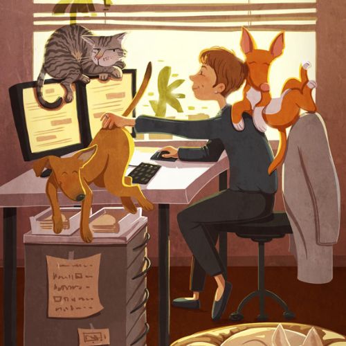 children illustration animals and boy with computer
