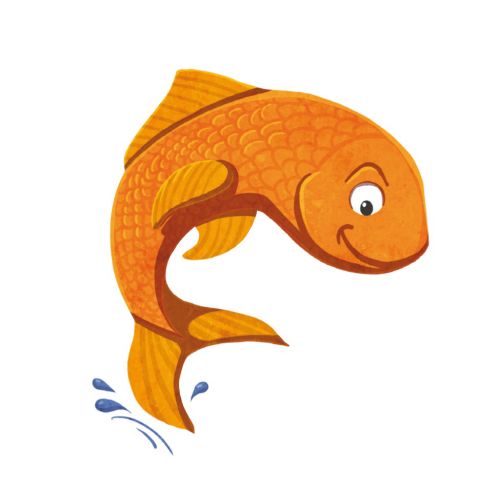Character design gold fish
