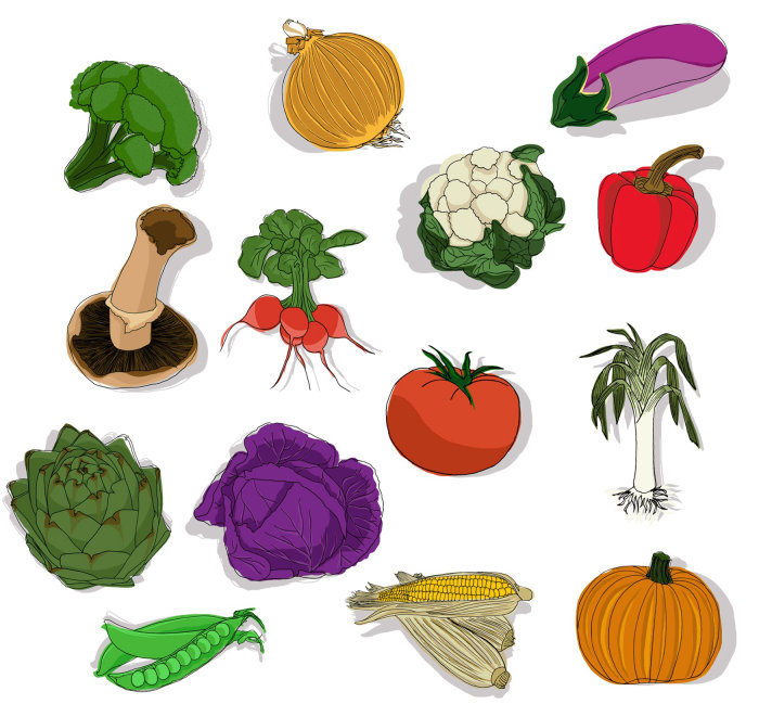 Legumes ilustrados por Claire Rollet