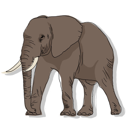 ilustração de elefante animal selvagem