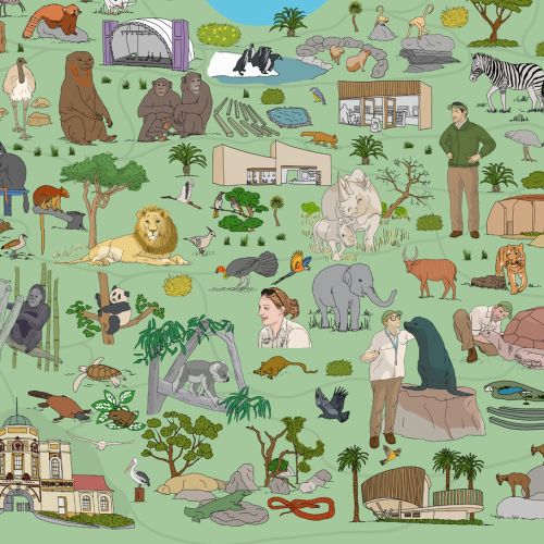 Map illustration of Taronga Zoo for Viasat TV