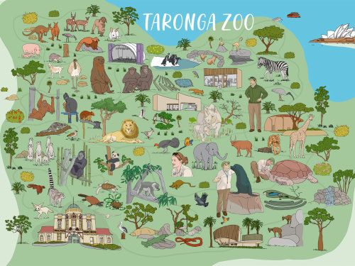 mapa ilustrado dos animais do zoológico de Taronga Sydney por Claire Rollet