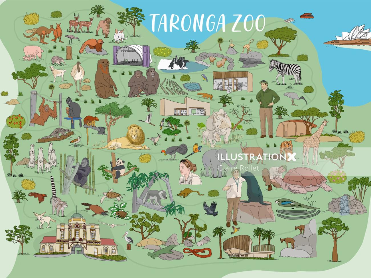 Ilustración de mapa del zoológico de Taronga para Viasat TV