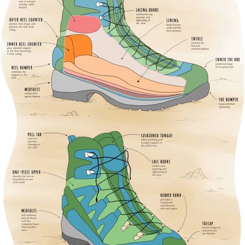 Line and color of Hiking Boots anatomy