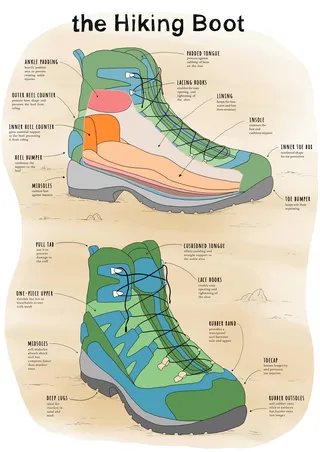 Line and color of Hiking Boots anatomy