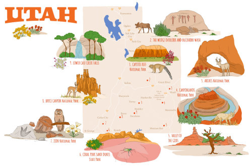 carte des parcs nationaux de l&#39;Utah illustrée par Claire Rollet