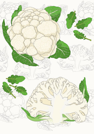 Research on the cauliflower plant