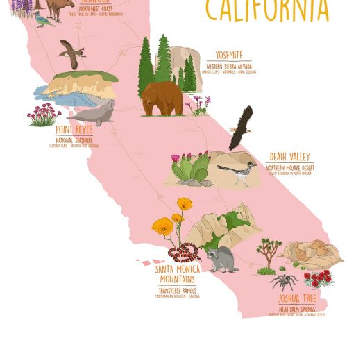 The beautiful wildness of California's national parks is shown on this map