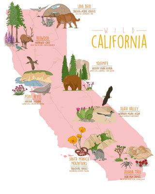 カリフォルニアの国立公園の美しい自然がこの地図に示されています