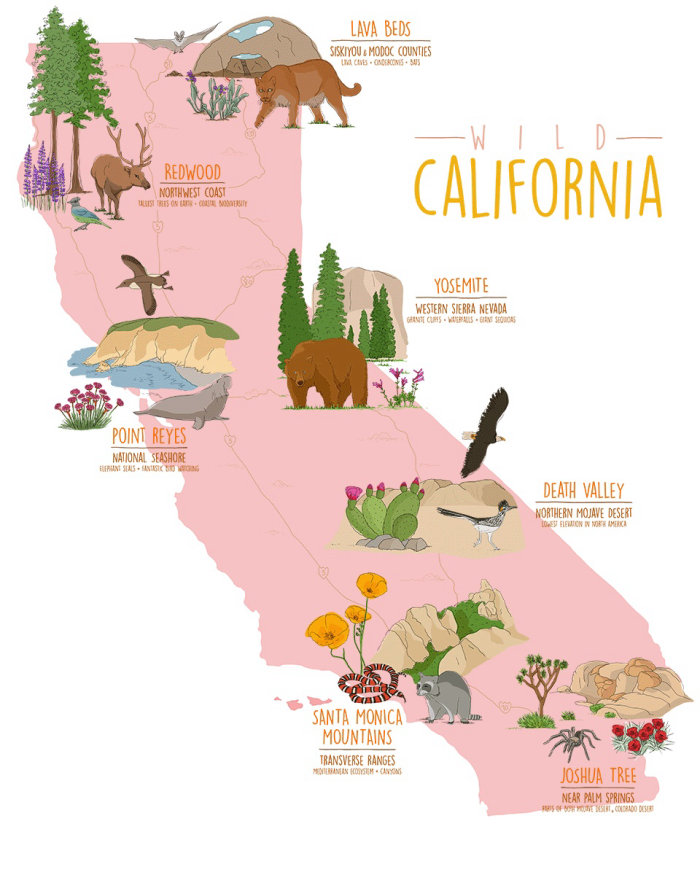 La belle nature sauvage des parcs nationaux de Californie est illustrée sur cette carte