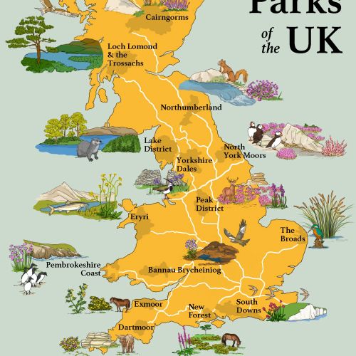 Illustrated map of UK national parks featuring wildlife and landscapes by Claire Rollet