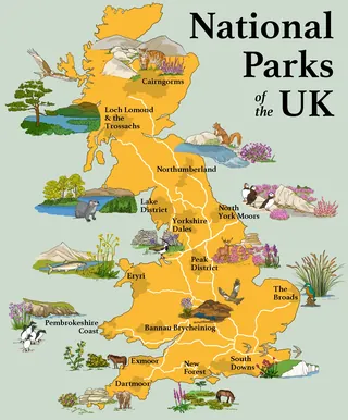 Illustrated map of UK national parks featuring wildlife and landscapes by Claire Rollet