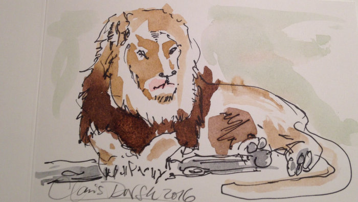 Loose Illustration of Lion
