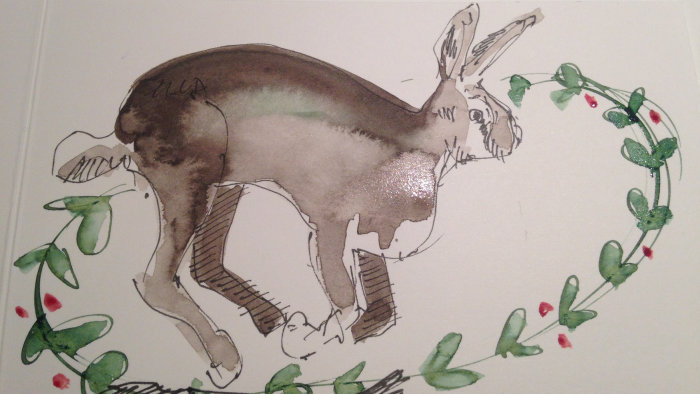 Loose Animal illustration of kangaroo
