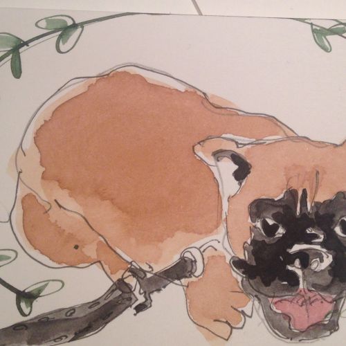 Loose Animal dog illustration

