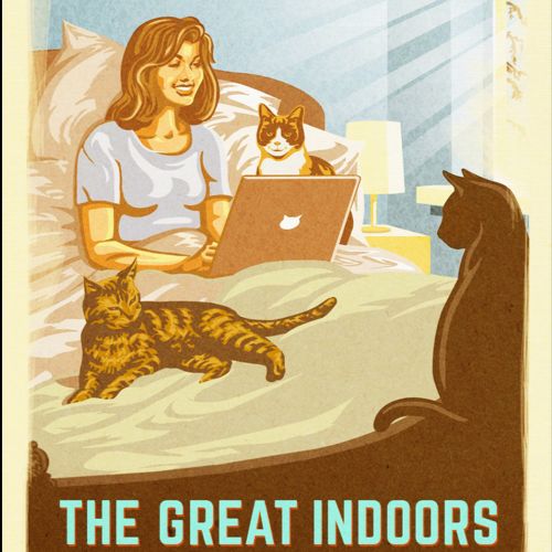 woman in bed with lots of cats and laptop computer