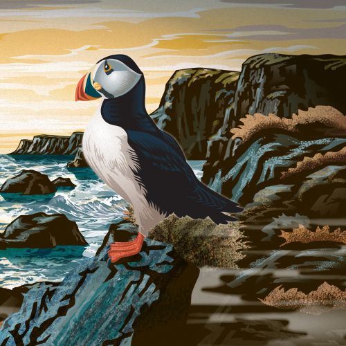 Colin Elgie Animals Illustrator from UK