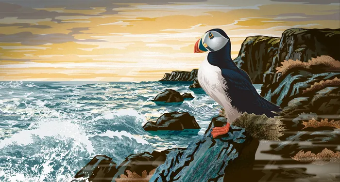 Puffin standing on rocky coast with waves and dawn sky
