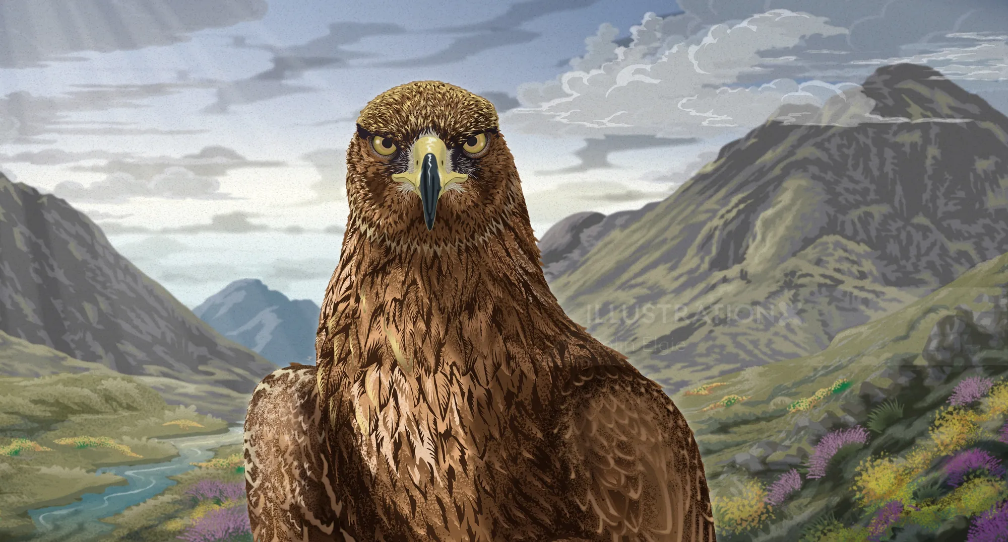 Golden eagle perched with Scottish Highlands in background