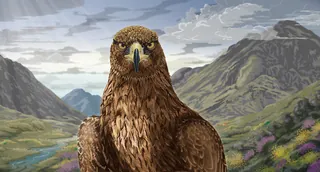 Golden eagle perched with Scottish Highlands in background