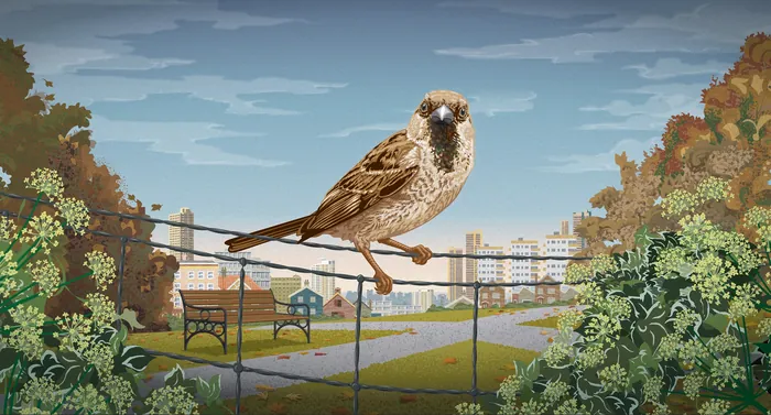 House sparrow perched on park fence with urban background