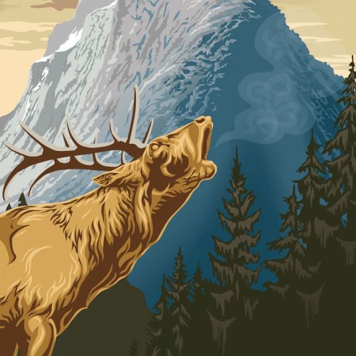 Moose illustration | Animal style gallery