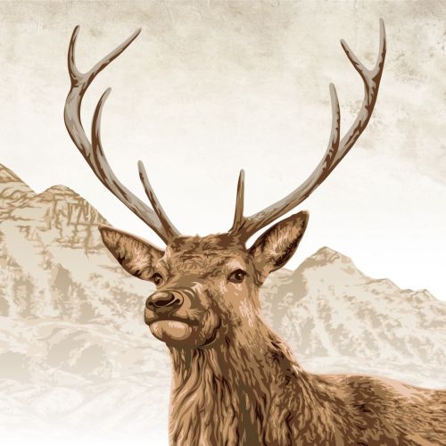 Stag illustration | Animal style gallery