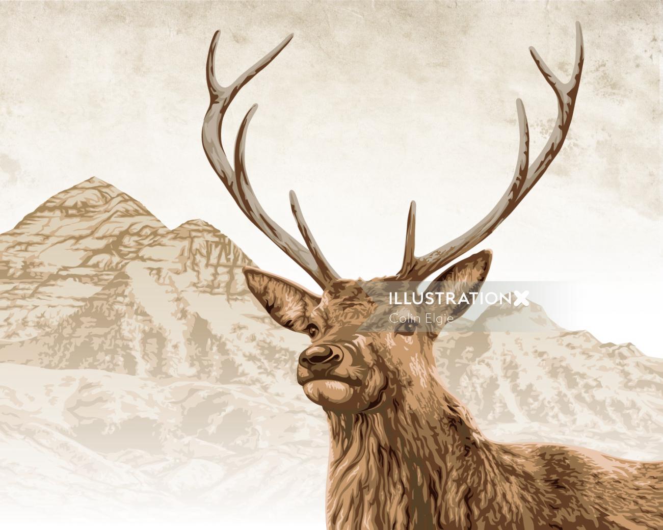 Stag illustration | Animal style gallery